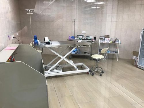 Tavolo operatorio veterinario elettrico - 72 - Vetbot - per animali di grossa taglia / per animali da compagnia / ad altezza regolabile