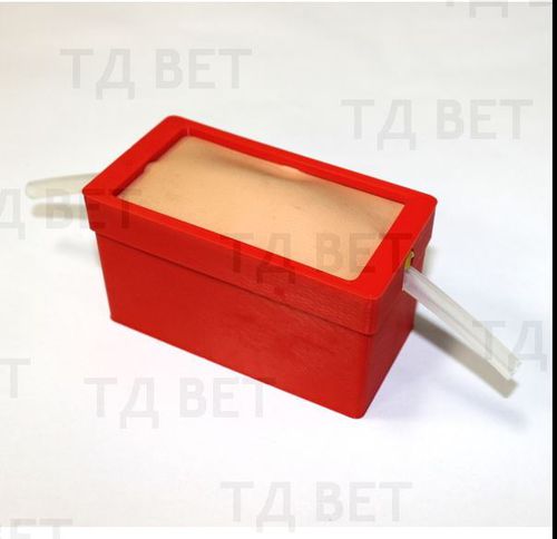 Simulatore per cataterismo - Vetbot-02 - Vetbot - per perfusione / veterinario