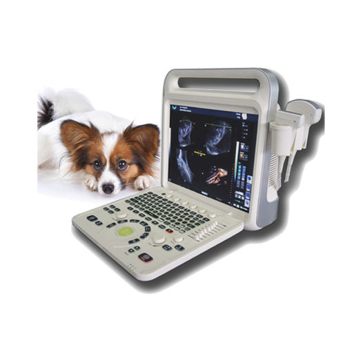 Ecografo veterinario portatile - XF3600V - Xianfeng Ultrasound Medical - multiuso / per cani / canino