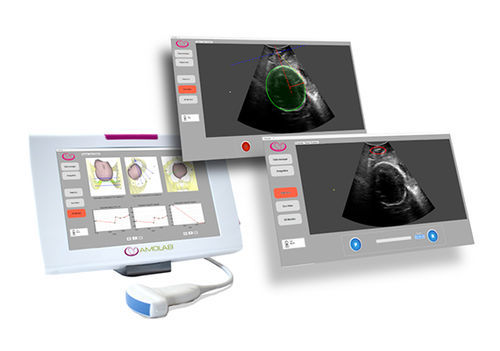 Software medico - SensUS Touch  - Amolab - per esami ostetrici / clinico / di visualizzazione