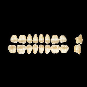 Protesi dentale in acrilico - Wiedent Estetic   - Wiedent - per denti posteriori