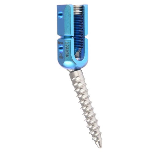 Vite peduncolare per vertebra toraco-lombare - REED Polyaxial Reduction Screw - H.P.I. Medical - poliassiale / in metallo
