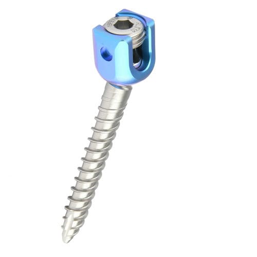 Vite peduncolare per vertebra toraco-lombare - REED Polyaxial Screw - H.P.I. Medical - poliassiale / in metallo