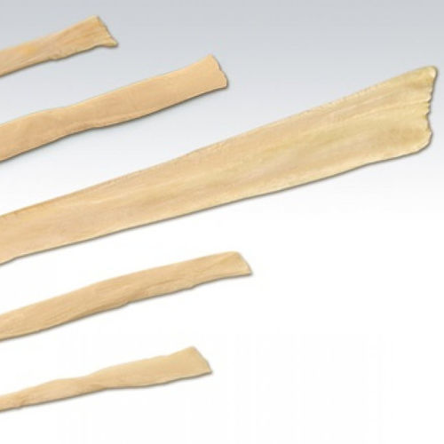 Protesi di legamento tendine lungo fibolare - NeoSys Medical Solutions - tendine gracile / tendine semitendinoso / allotrapianto