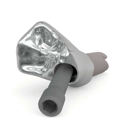 Perno a vite per protesi odontoiatrica - Kiran® Screw - Ziacom Medical