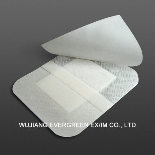 Cerotto - Wujiang Evergreen