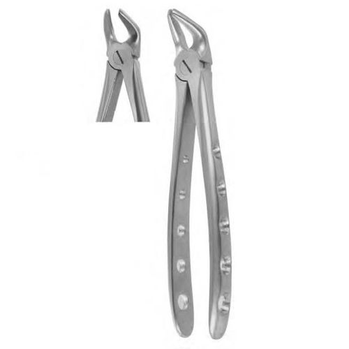 Pinza per estrazione denti per premolari - 1002 - Thempson - tipo inglese