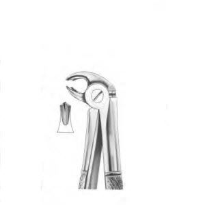 Pinza per estrazione denti pediatrica - 1019 - Thempson - per molari / tipo inglese