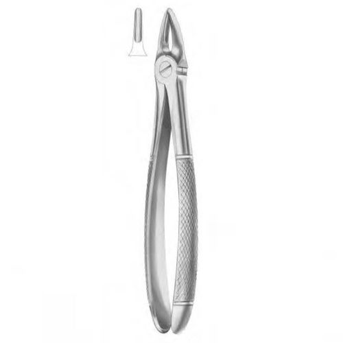 Pinza per estrazione di radici dentali - 1023 - Thempson - tipo inglese