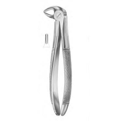 Pinza per estrazione denti pediatrica - 1034 - Thempson - per radici dentali / tipo inglese