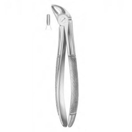 Pinza per estrazione denti pediatrica - 1035 - Thempson - per incisivi inferiori / tipo inglese