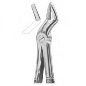 Pinza per estrazione denti per estrazione denti superiori e inferiori - 1051 - Thempson - tipo inglese