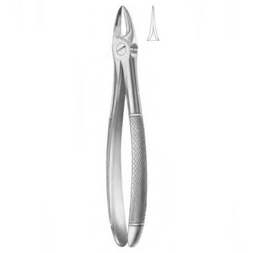 Pinza per estrazione denti per molari - 1053 - Thempson - tipo inglese