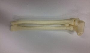 Modello anatomico osseo - 3D Lifeprints UK Ltd - di radio / di cubito / di gomito