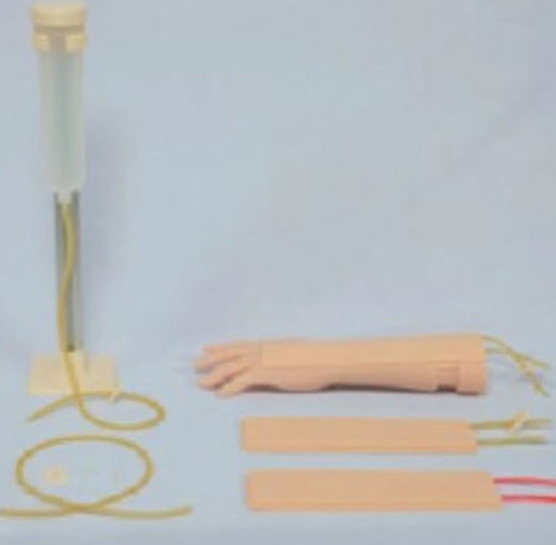 Modello anatomico di braccio - 3D Lifeprints UK Ltd - per iniezioni / didattico / di bambino