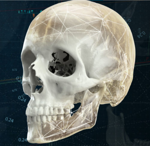 Software di visualizzazione 3D - CMF - Materialise UK - medico / per ospedale / clinico