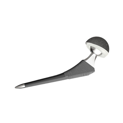 Protesi di anca di prima intenzione - DIAMOND Ti  - Irene Ortho - non cementata