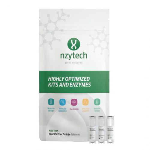Kit di reagenti in soluzione - CZ10971 - NZYTech - enzima / per ricerca scientifica / di proteine