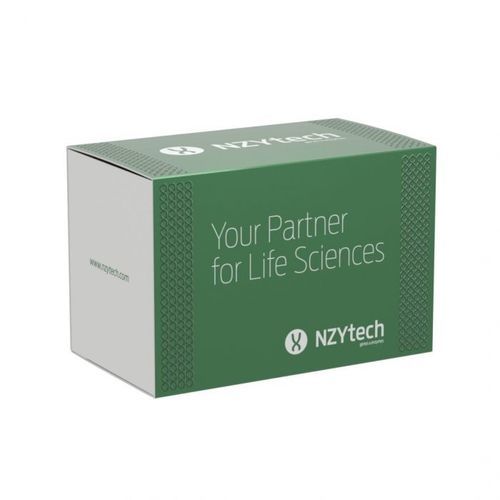 Kit di reagenti in soluzione - Supreme HC NZY - NZYTech - enzima / transcrittasi inversa / tampone di diluizione