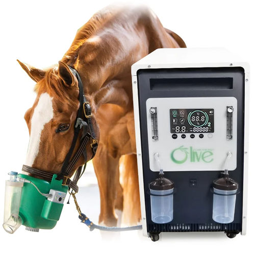 Concentratore di ossigeno veterinario - 00250 - Zhengzhou Olive Electronic Technology - con rotelle / PSA / a flusso continuo
