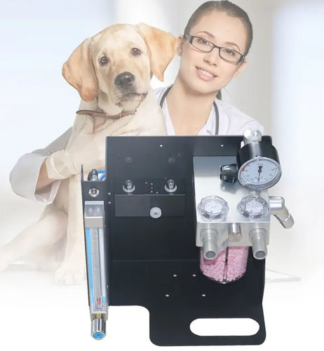 Apparecchiatura per anestesia veterinaria su carrello - OLV-V1 - Zhengzhou Olive Electronic Technology