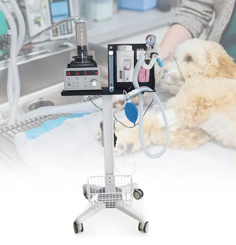 Apparecchiatura per anestesia veterinaria su carrello - OLV-V5 - Zhengzhou Olive Electronic Technology