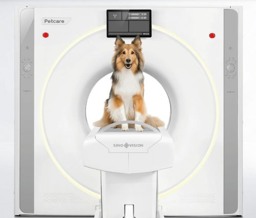 Scanner a raggi X veterinario per animali domestici - Petcare - SinoVision