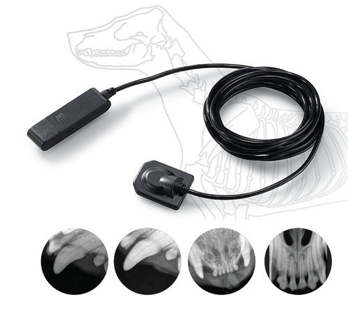 Rilevatore a pannello piatto intraorale per radiografia dentale veterinaria - EzSensor 2.0 - MYVET