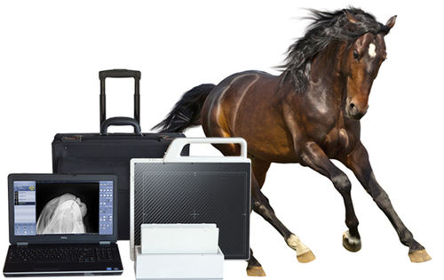 Sistema di acquisizione per radiografia veterinaria - DR - MYVET - portatile