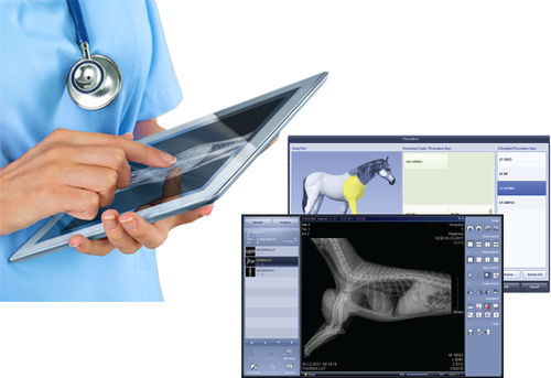 Software di gestione - VetView - MYVET - di acquisizione / di acquisizione di immagini / per radiologia veterinaria