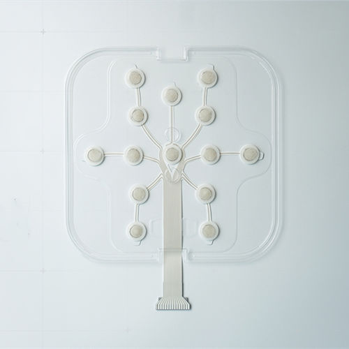 Elettrodo EEG - NE - Wuhan Greentek - medico / monouso