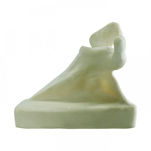 Modello anatomico osseo - 3014BL  - Nacional Ossos - di scapola / per chirurgia ortopedica / di dimostrazione