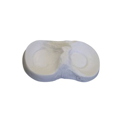 Modello anatomico osseo - 6000-05 - Nacional Ossos - di menisco / per chirurgia ortopedica / ad uso didattico