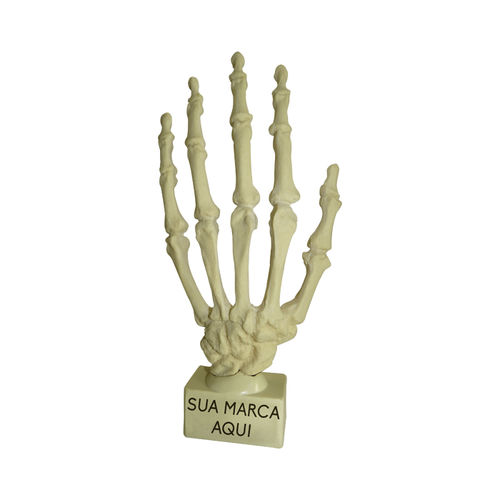 Modello anatomico osseo - 1001B - Nacional Ossos - di mano / per chirurgia ortopedica / didattico