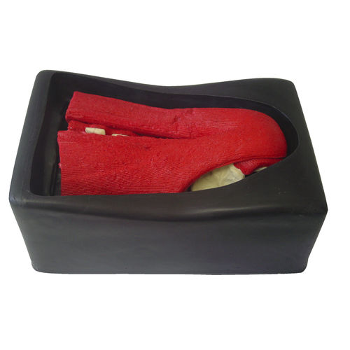 Modello anatomico lombo-sacrale - 5018F - Nacional Ossos - per chirurgia / in poliuretano / con muscolatura