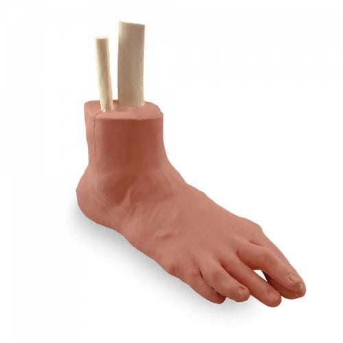 Modello anatomico di piede - 13470  - Nacional Ossos - per chirurgia mini-invasiva / didattico / con trauma