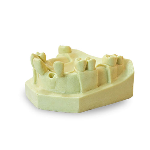 Modello anatomico di denti - 4802 - Nacional Ossos - osseo / di mascella / per implantologia