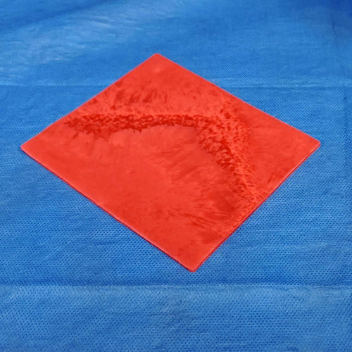 Modello anatomico di intestino - 034 series - LifeLike BioTissue Inc. - per chirurgia / didattico