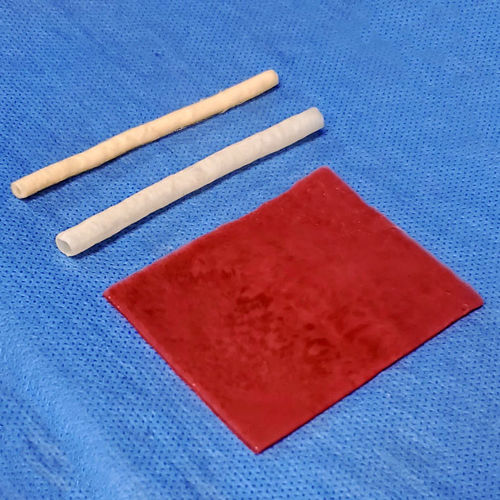 Modello anatomico vescica - 10 series - LifeLike BioTissue Inc. - uretere / per chirurgia / per chirurgia