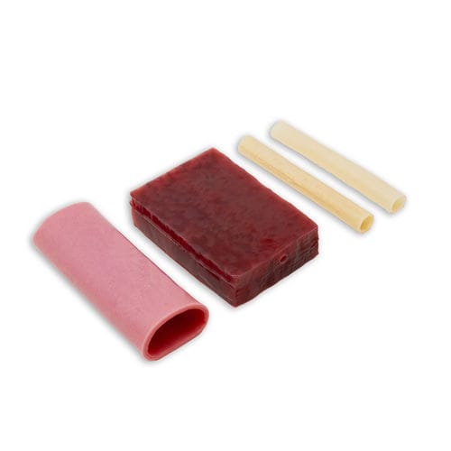 Modello anatomico per chirurgia - 03 series - LifeLike BioTissue Inc. - di vena / di sistema biliare / di pancreas