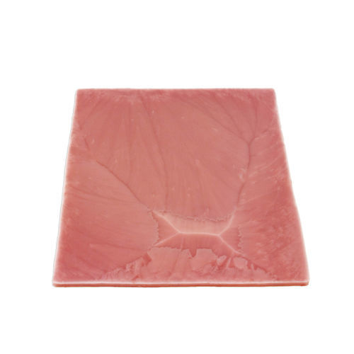 Modello anatomico di stomaco - 034 series - LifeLike BioTissue Inc. - per chirurgia / didattico