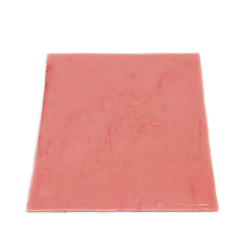 Modello anatomico vescica - 060 series - LifeLike BioTissue Inc. - per chirurgia / per cure urologiche / didattico