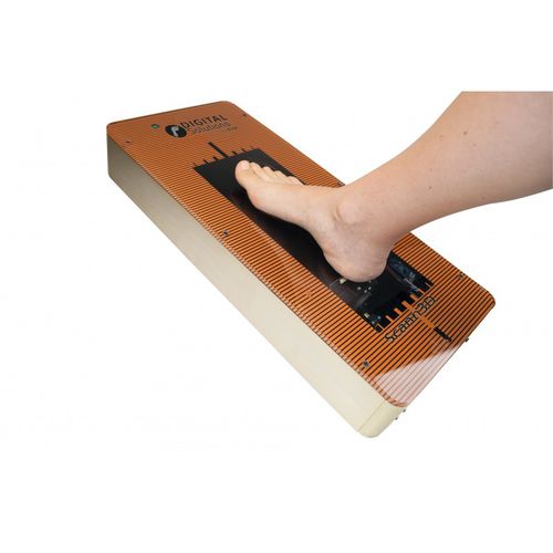 Scanner 3D per fabbricazione di solette ortopediche - DS-SCANN3D-ANALYZ - Eloi Podologie - palmare