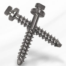 Vite per artrodesi per vertebra lombare - Capture™ - Spineology - in metallo