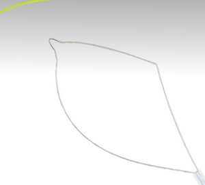 Cestello endoscopico per estrazione di polipi intestinali - ezSnare™ Crescent - Endo-Therapeutics - dritto