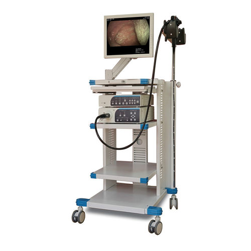 Videogastroscopio full HD - FD-28L - Hunan Fude Technology - con video monitor integrato