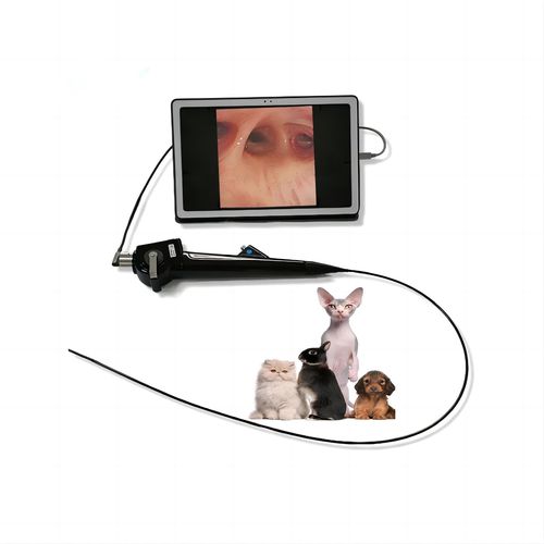 Broncoscopio veterinario video - FD-58A - Hunan Fude Technology - per animali di piccola taglia / con canale operativo