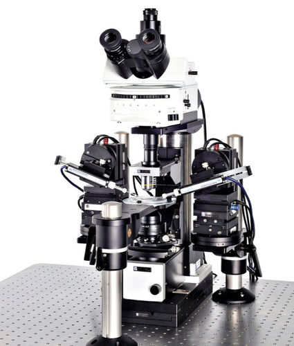 Sistema patch-clamp da ricerca - SliceScope Pro 1000 - Scientifica - con microscopio invertito