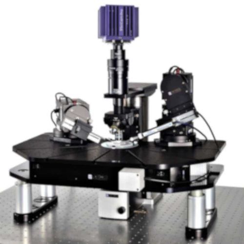 Sistema patch-clamp da ricerca - SliceScope Pro 3000 - Scientifica