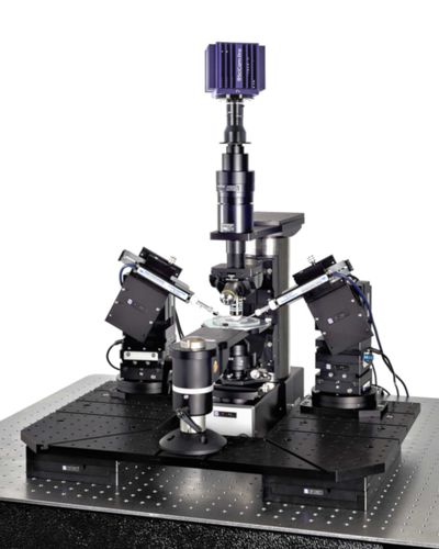 Sistema patch-clamp da ricerca - SliceScope Pro 6000 - Scientifica